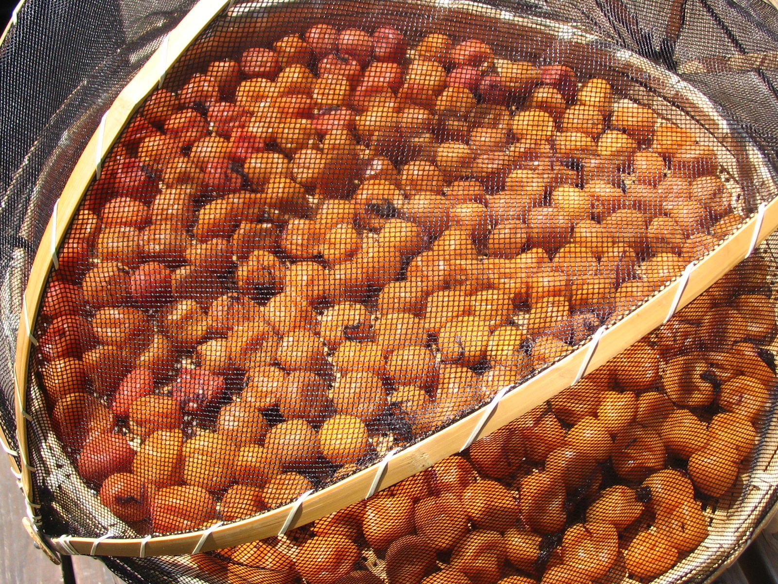 umeboshi.JPG