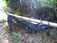 ikan.JPG