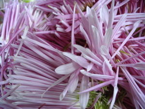 kakinomoto.jpg