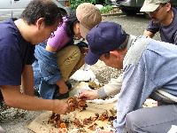 kinoko4.JPG